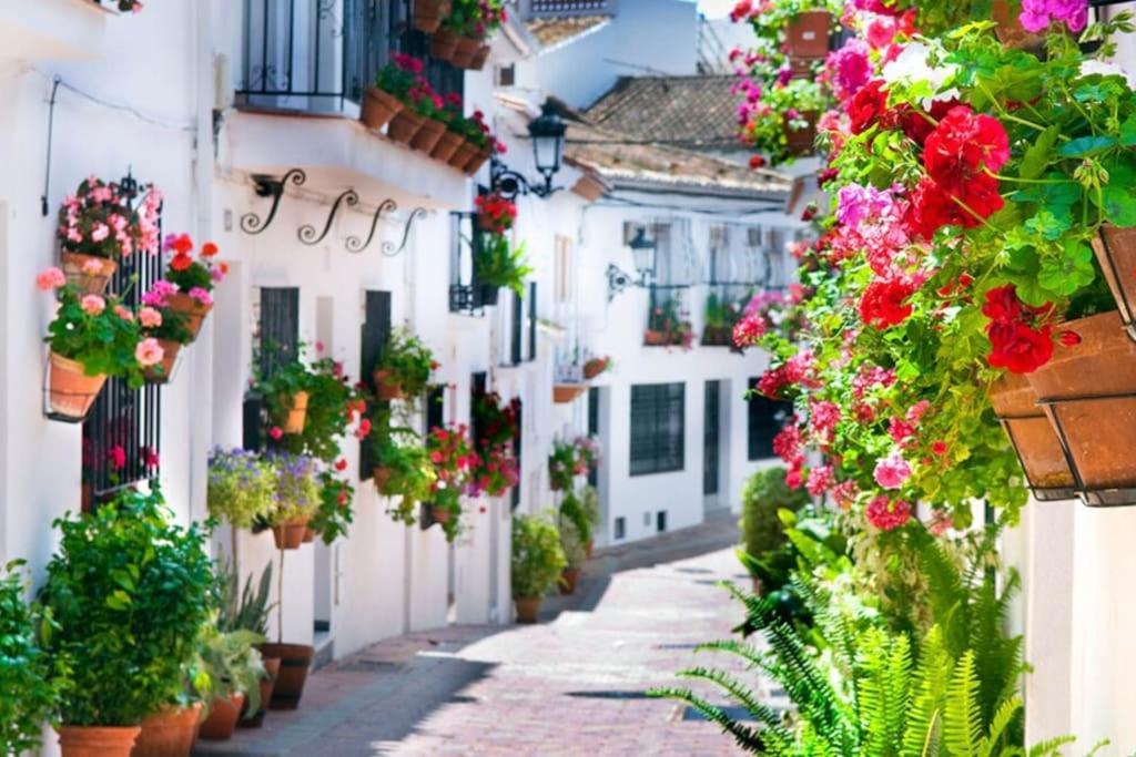 Studio Vista Costa Del Sol 贝纳尔马德纳 外观 照片